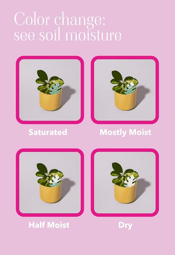 Biodegradable Soil Moisture Meter, Visual Reminder to Water Your Indoor Plants - Image 6