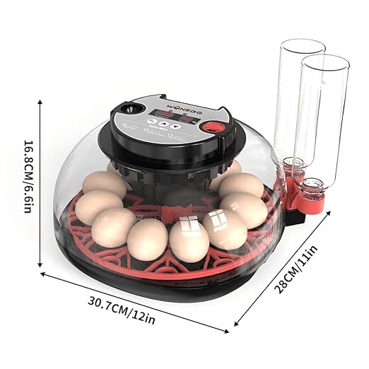 incubators for hatching eggs,12 Egg Incubator, egg incubator - Image 8