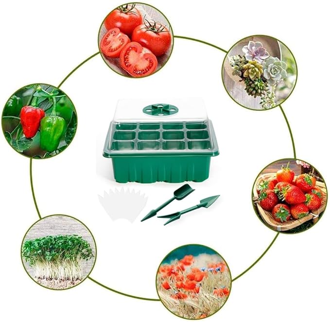 3 Pack Seed Starter Tray with Humidity Dome and Base, Plant Germination Kit - Image 6