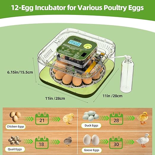 12 Egg Incubator for Hatching Eggs - Image 8