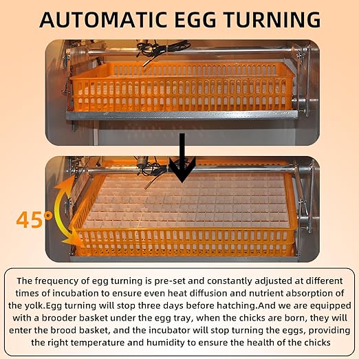 XKV 352 Egg Incubator with Automatic Egg Turning, Temperature Control and - Image 9