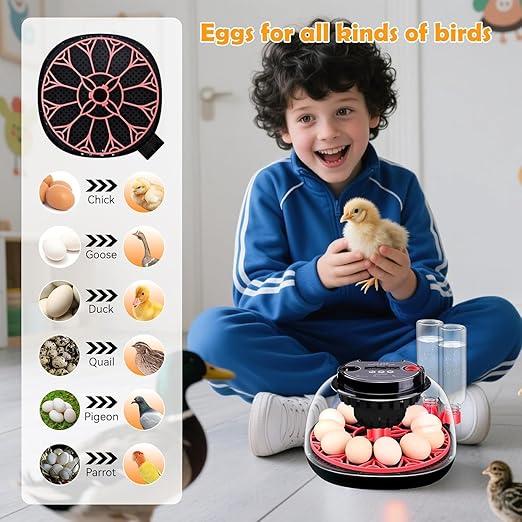 Egg incubators for Hatching Eggs, Automatic Egg Turning 12-24 Poultry Incubator - Image 7