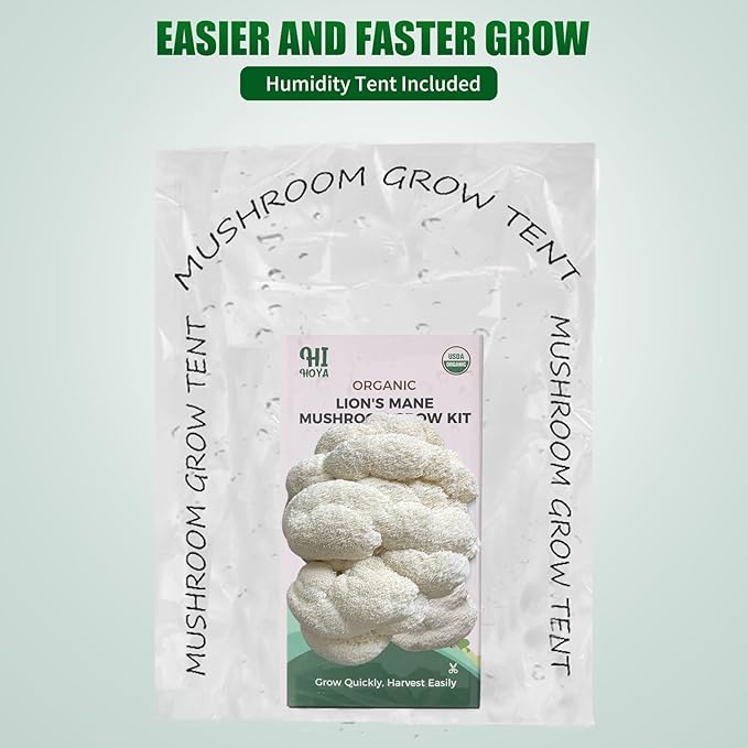 Large Organic Lion's Mane Mushroom Grow Kit - Image 8