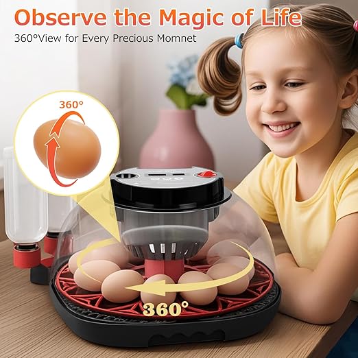 12 Egg Incubators for Hatching Eggs Automatic Egg Incubator - Image 7