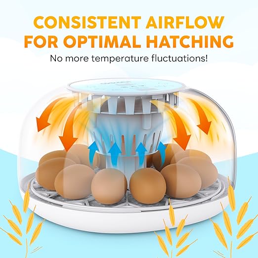 M12 Incubators for Hatching Eggs - Image 7