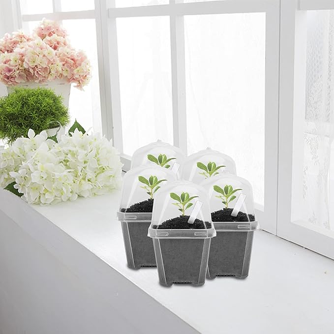 EBaokuup 30PCS Clear Plant Nursery Pots - Image 6