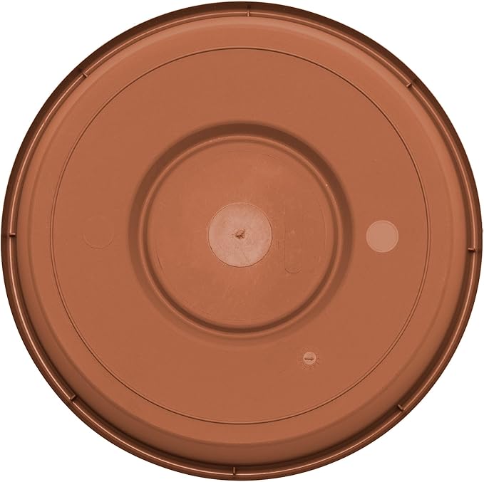 Bloem Terra Resin Saucer Tray: 4.75" Bottom Width - Image 6