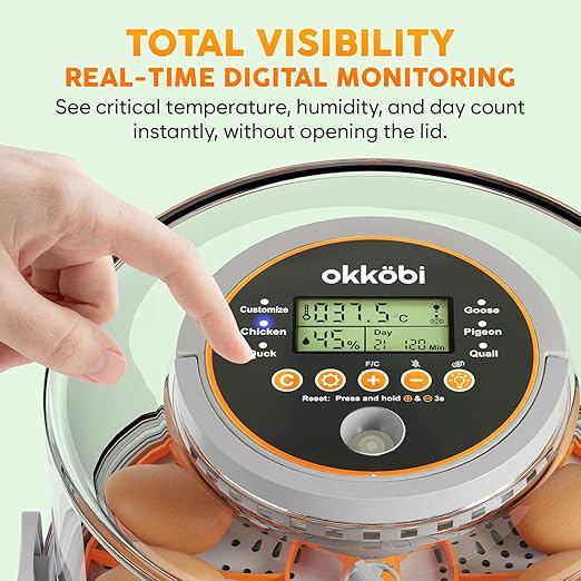 12 Egg Incubator with Automatic Egg Turning and Humidity Control – Temperature - Image 7
