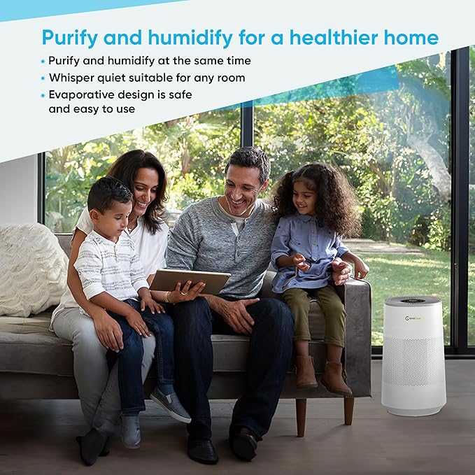 Air Purifier and Humidifier Combo All in One - Image 9