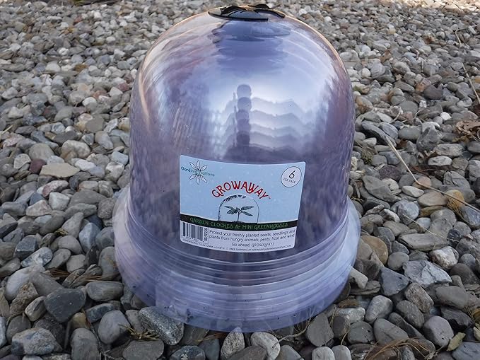 6-Pack! GrowAway Medium Reusable Plastic Mini Greenhouse, Cloche Dome, Plant - Image 5