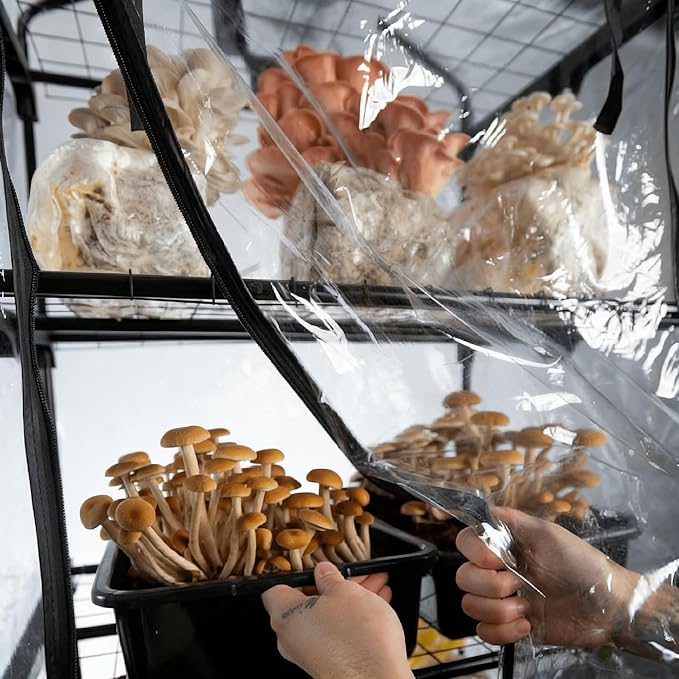 Mushroom Grow Tent, Martha Tent - Image 6