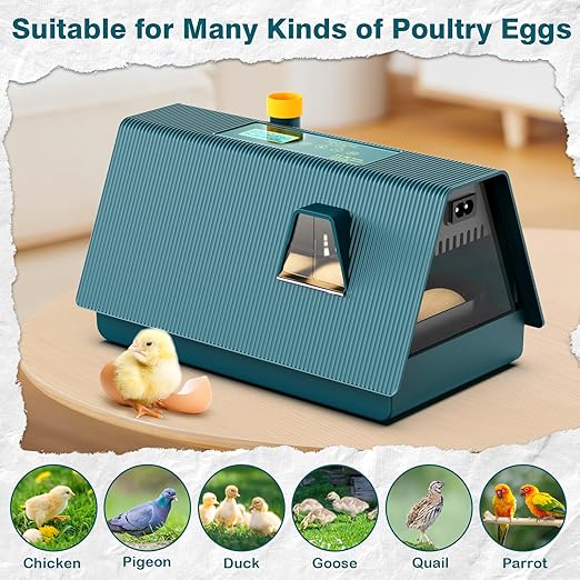 Incubator for Hatching Chicks, 10 Eggs Incubators - Image 7
