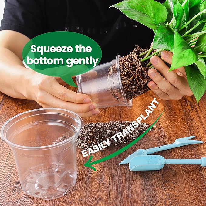 36 Packs 5/4/3.5 Inch Clear Nursery Pots - Image 7