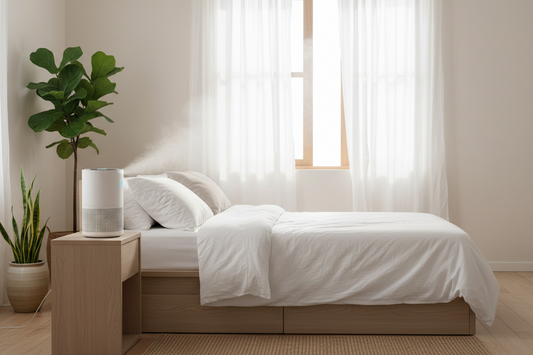 Creating a Healthier Bedroom Environment with Air Filtration