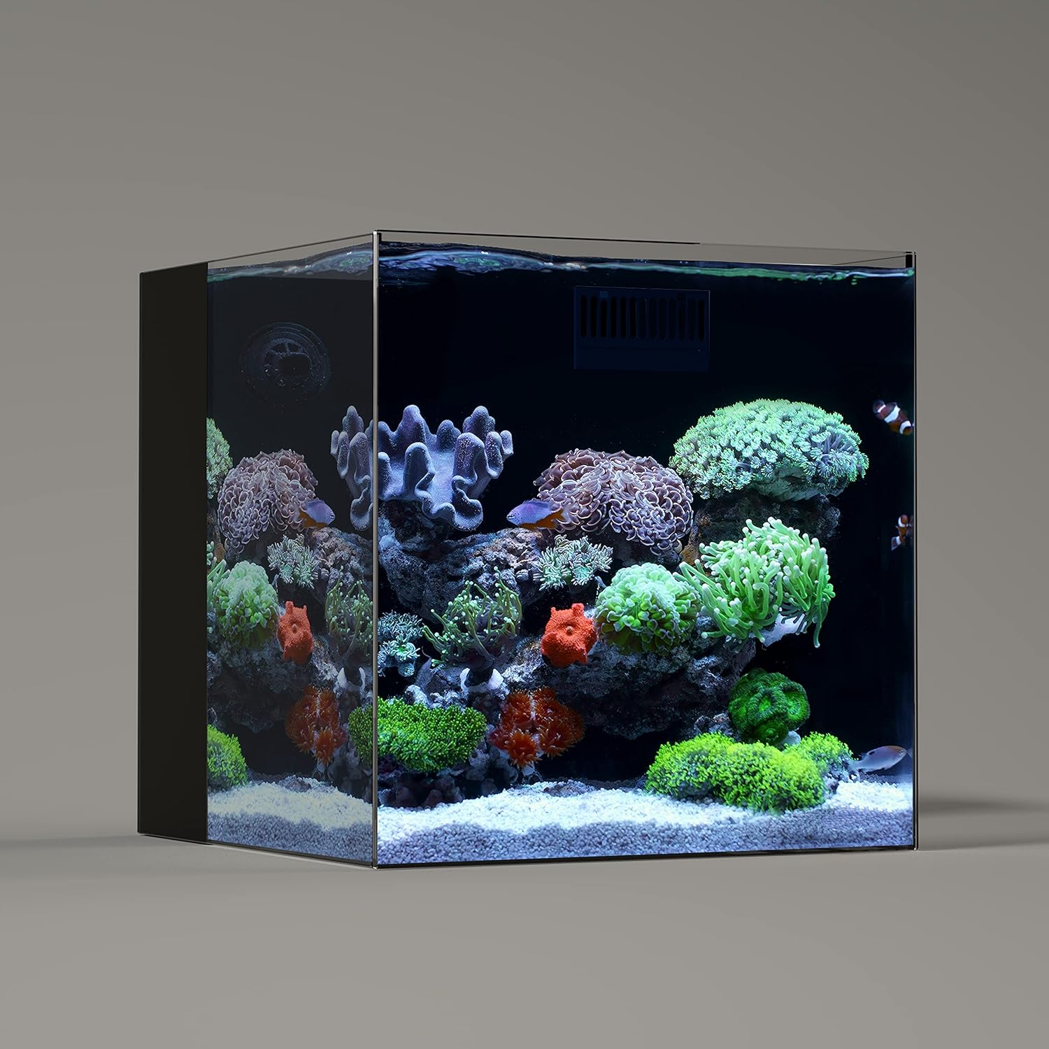 Aquariums & Fish Bowls