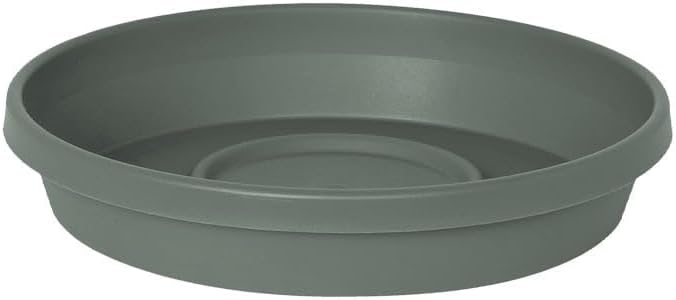 Bloem Terra Resin Saucer Tray: 4.75" Bottom Width by Bloem