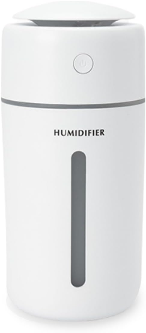 Personal Ultrasonic Cool Mist Humidifier by AOCHY