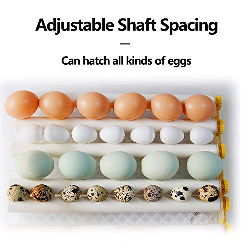 Egg Incubator - Egg Incubator - Image 6