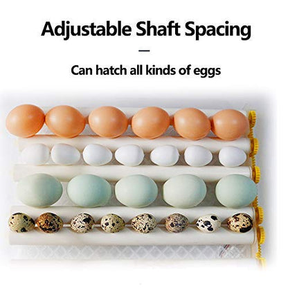 Egg Incubator - Egg Incubator - Image 6