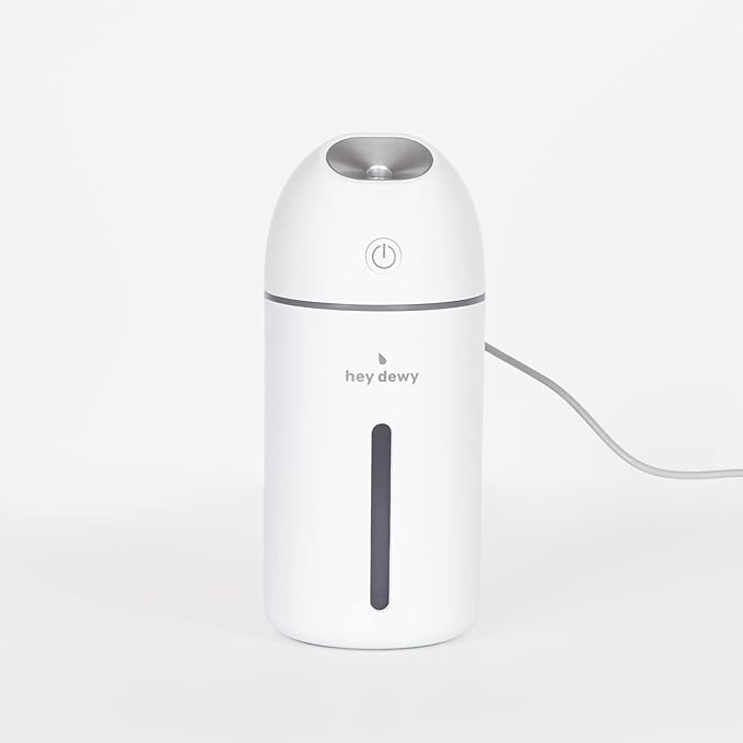 Hey Dewy Portable Facial Hydrating Cool Mist Humidifier by HeyDewy