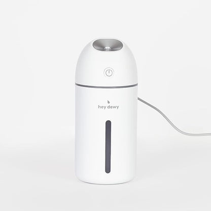 Hey Dewy Portable Facial Hydrating Cool Mist Humidifier by HeyDewy