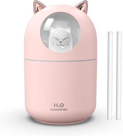 Portable 300ml Mini Cool Mist Humidifier by Dgffan