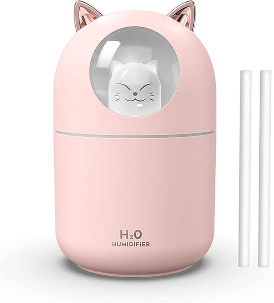Portable 300ml Mini Cool Mist Humidifier by Dgffan