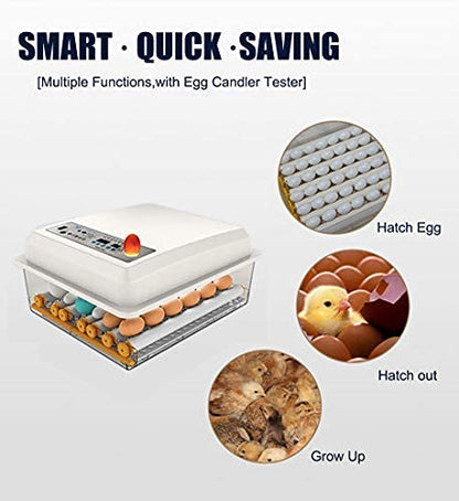 Egg Incubator, Egg Incubator - Image 7