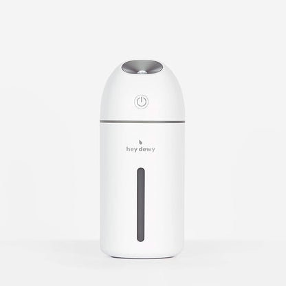 Hey Dewy Wireless, Rechargeable, Skin-Nourishing, Portable Cool Mist Humidifier by HeyDewy