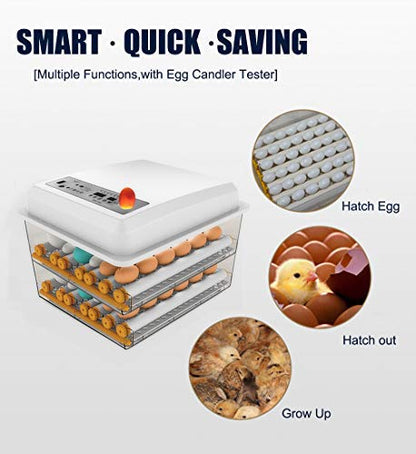 Egg Incubator, Egg Incubator - Image 3