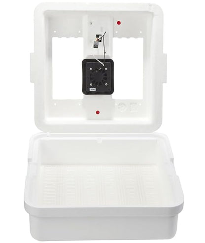 Little Giant® Digital Still Air Incubator | 41 Egg Capacity | Chick Egg by LittleGiant%C2%AE