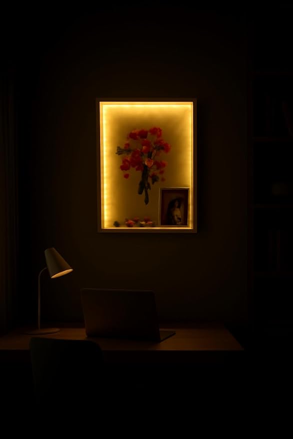 Shadow Box with LED Light Dried Flowers Changeable Artwork Photos Display & - Image 3