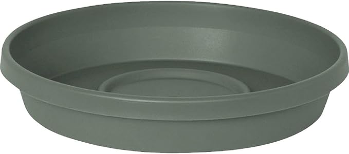 Bloem Terra Resin Saucer Tray: 9.25" Bottom Width by Bloem