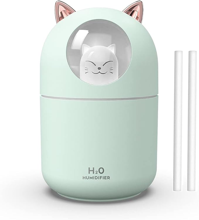 Portable 300ml Mini Cool Mist Humidifier by Dgffan