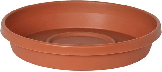 Bloem Terra Resin Saucer Tray: 4.75" Bottom Width by Bloem