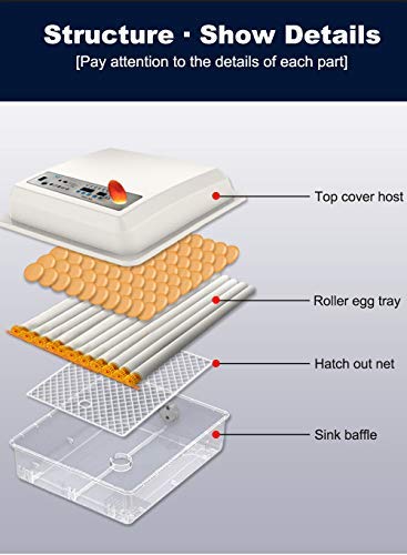 Egg Incubator - Egg Incubator - Image 2