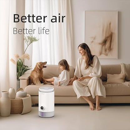 2-in-1 Humidifier and Air Purifier Combo, Mistless Evaporative Humidifier and - Image 6