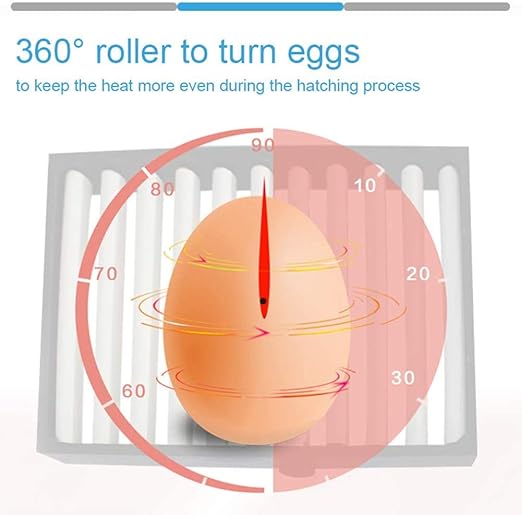 Egg Incubator, Egg Incubator - Image 4