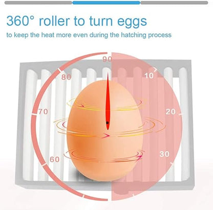 Egg Incubator, Egg Incubator - Image 4