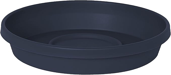 Bloem Terra Resin Saucer Tray: 4.75" Bottom Width by Bloem