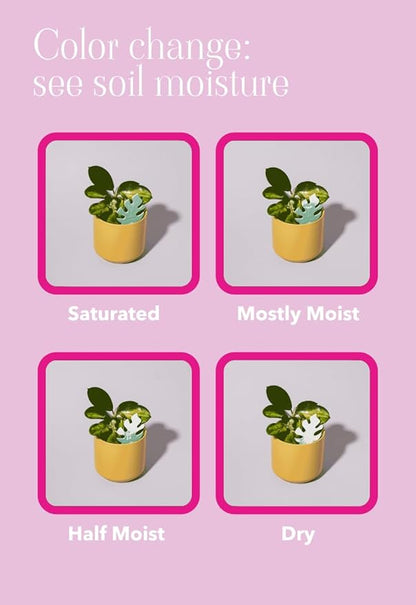 Biodegradable Soil Moisture Meter, Visual Reminder to Water Your Indoor Plants - Image 8