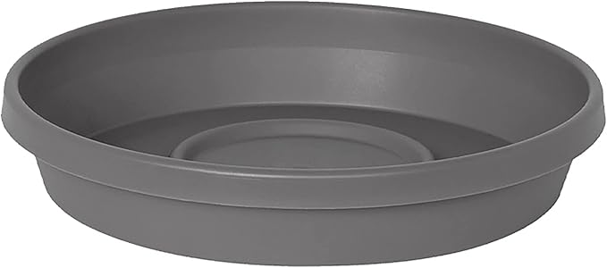 Bloem Terra Resin Saucer Tray: 15" Bottom Width by Bloem