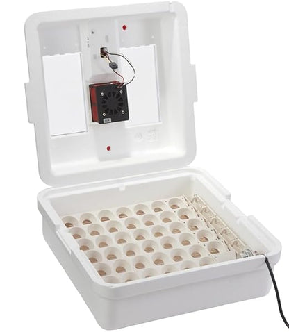 Little Giant® Digital Circulated Air Incubator by LittleGiant%C2%AE