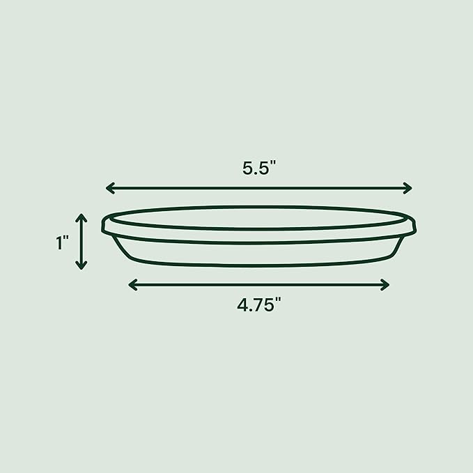 Bloem Terra Resin Saucer Tray: 4.75" Bottom Width - Image 2