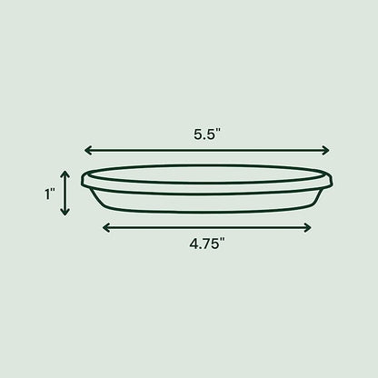 Bloem Terra Resin Saucer Tray: 4.75" Bottom Width - Image 3