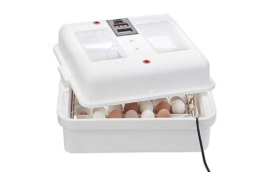 Little Giant® Digital Circulated Air Incubator - Image 3