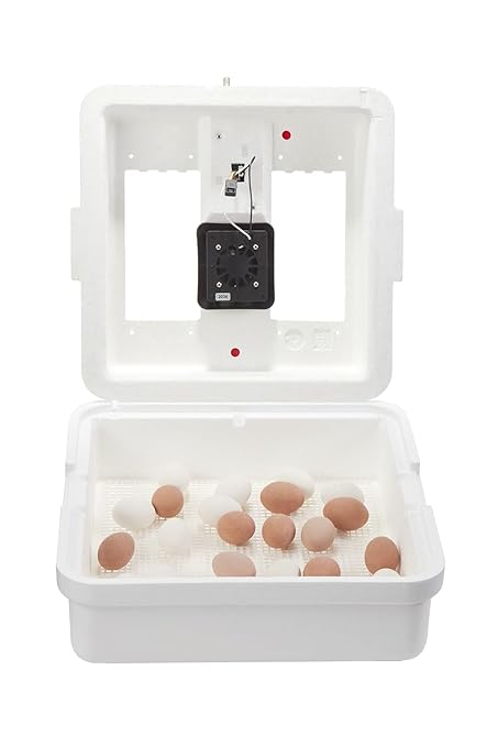 Little Giant® Digital Circulated Air Incubator | 41 Eggs | Egg Incubator - Image 6