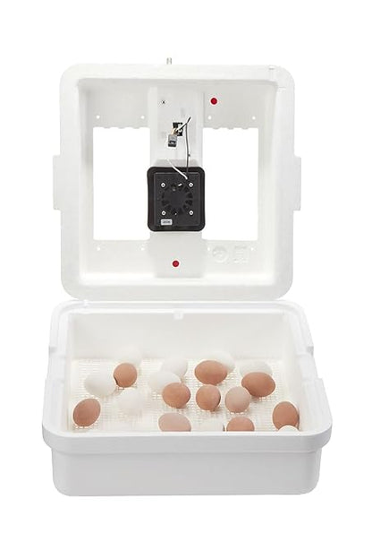 Little Giant® Digital Circulated Air Incubator | 41 Eggs | Egg Incubator - Image 6
