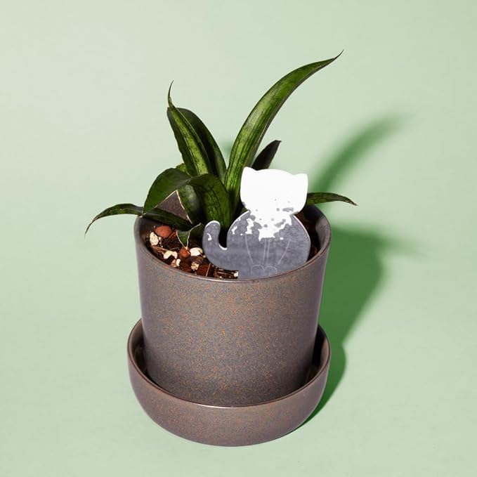 Biodegradable Soil Moisture Meter, Visual Reminder to Water Your Indoor Plants by Unknown