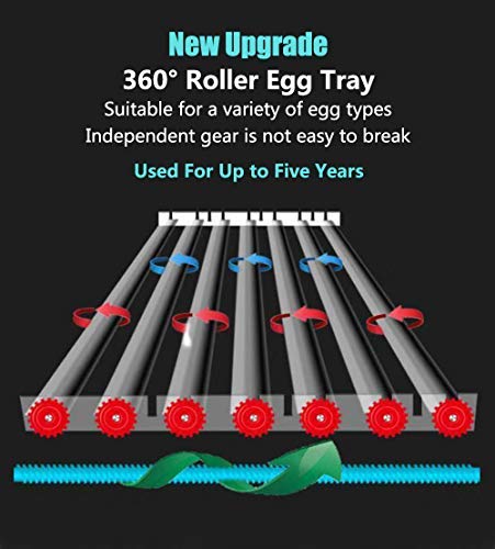 Egg Incubator, Egg Incubator - Image 7